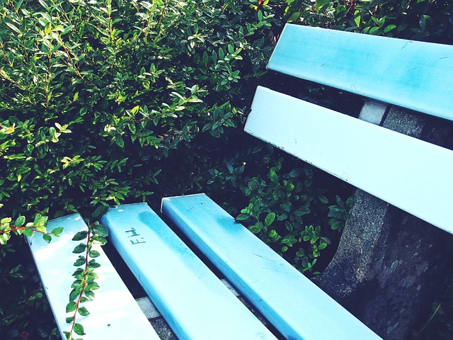 胜利的秘诀 胜利的秘诀